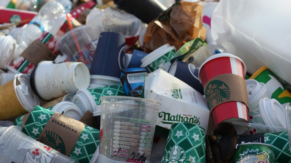 Why are we still accepting single-use coffee cups?