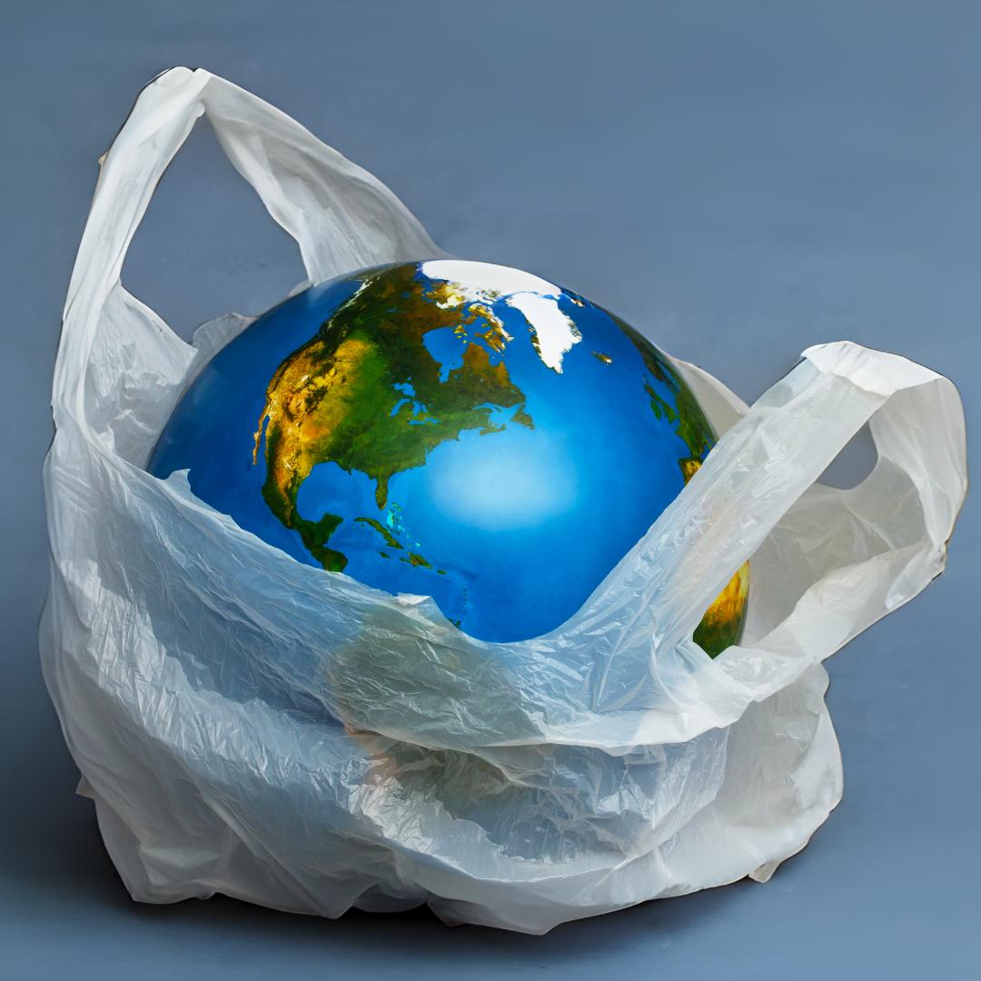 Why Go Plastic-Free? The Impact of Plastic on Our Planet