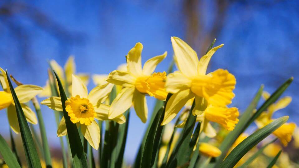 The Ultimate Guide to Sustainable Spring Cleaning