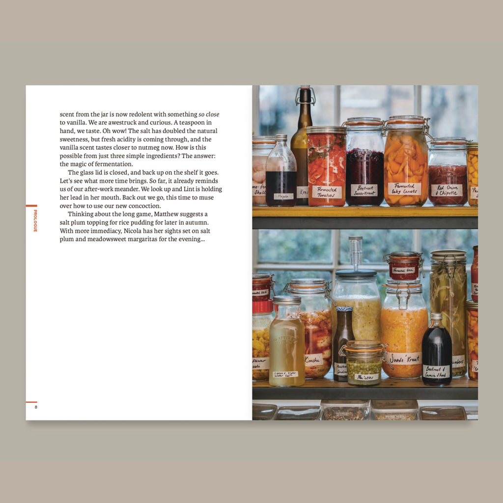 Do Ferment - A Guide To Making Kimchi, Kefir And More