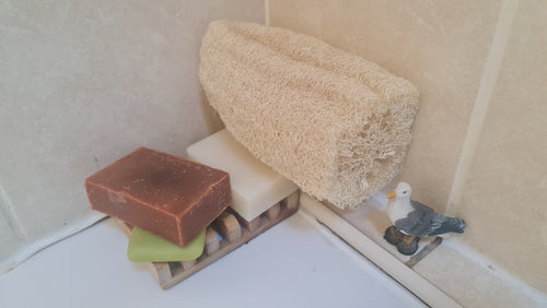 Body Loofah