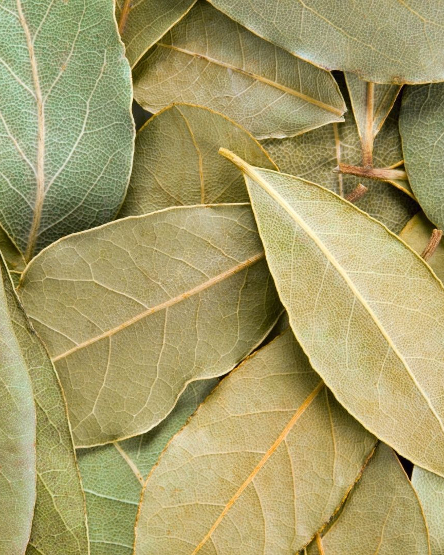 A collection of dried bay leaves.
