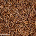 Caraway Seeds