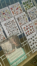 Illustrated British Wildlife Postcards