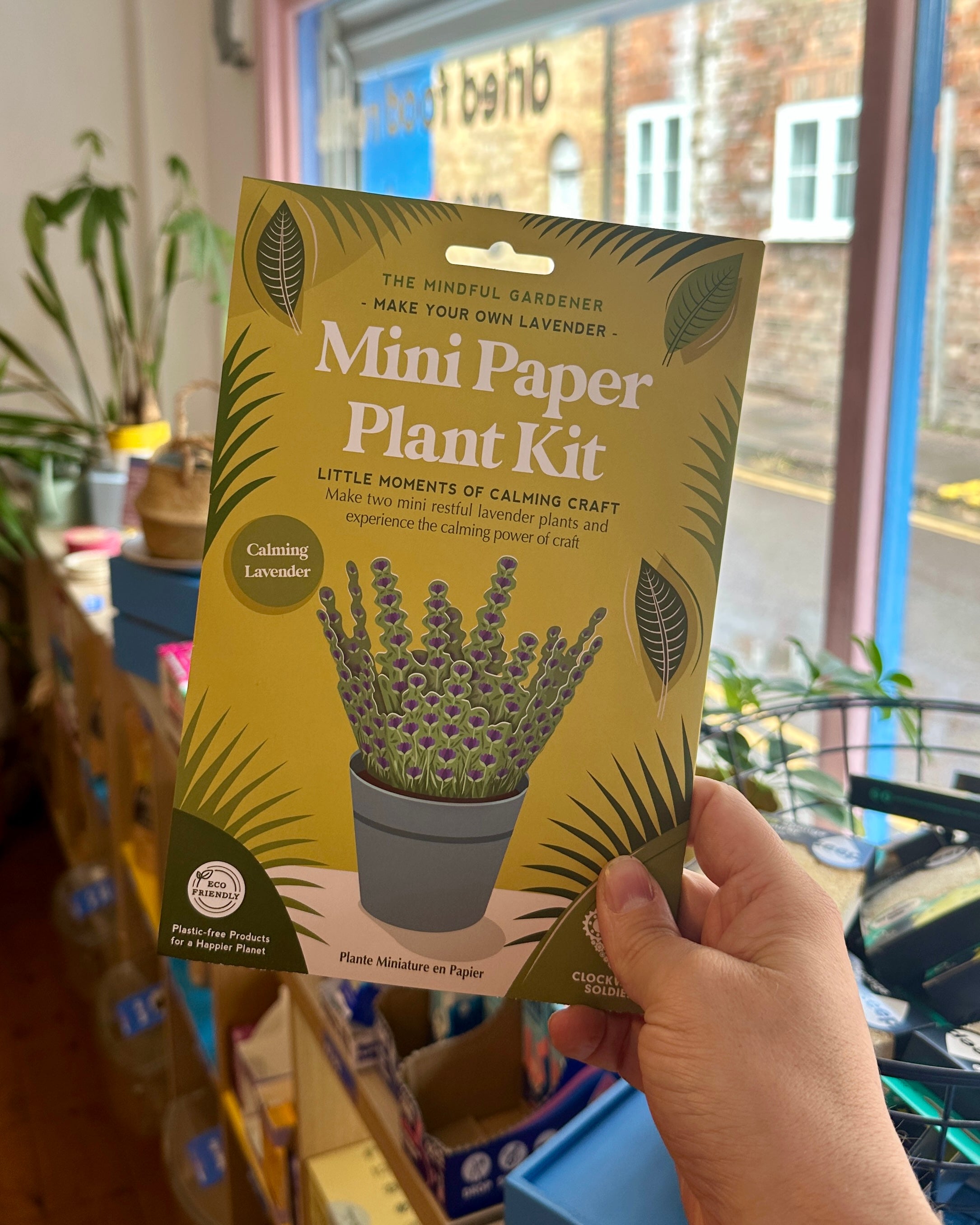 Make Your Own Calming Lavender Mini Paper Plant Kit