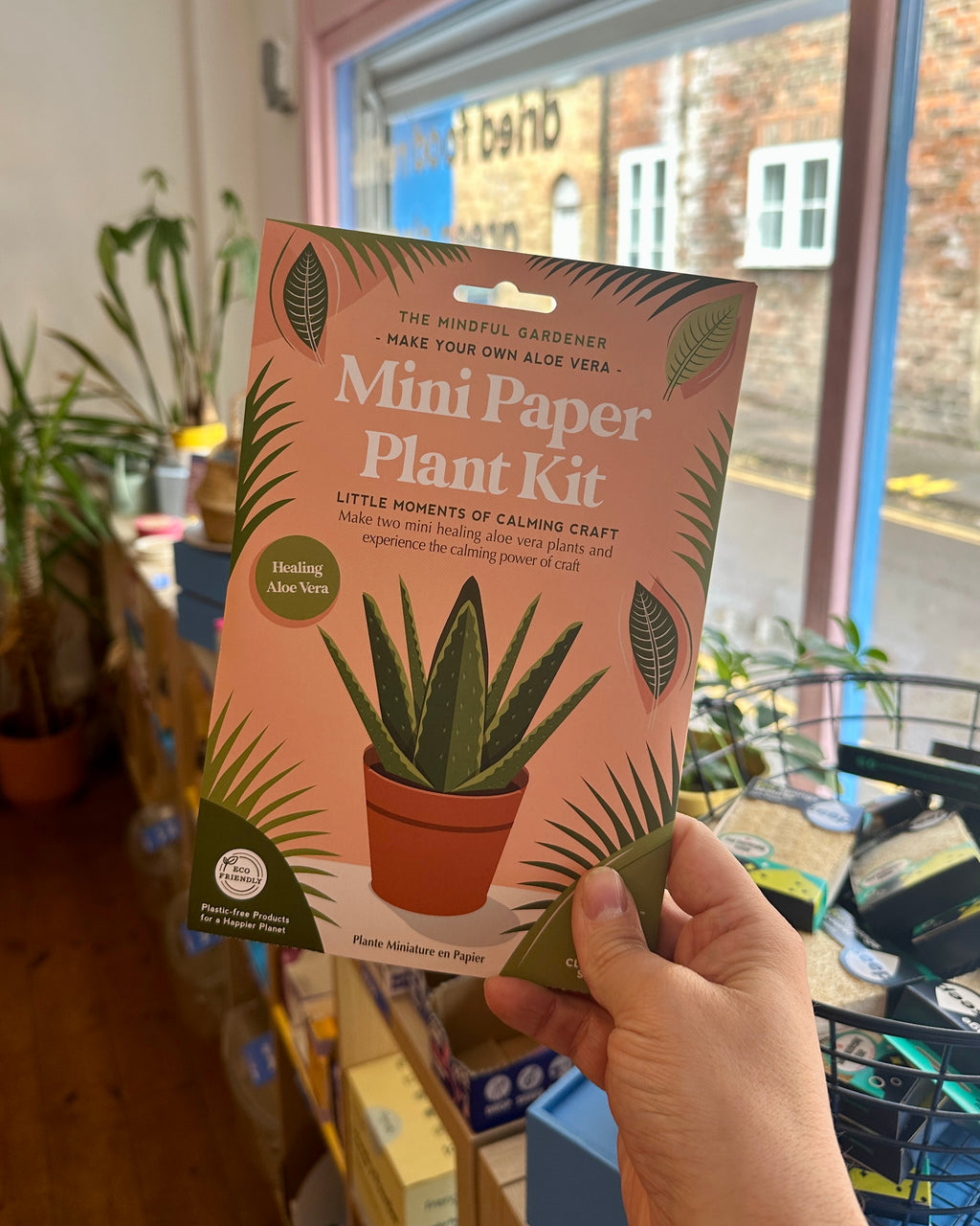 Make Your Own Healing Aloe Vera Mini Paper Plant Kit