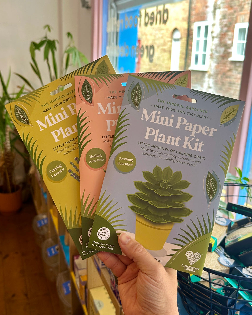 Make Your Own Healing Aloe Vera Mini Paper Plant Kit