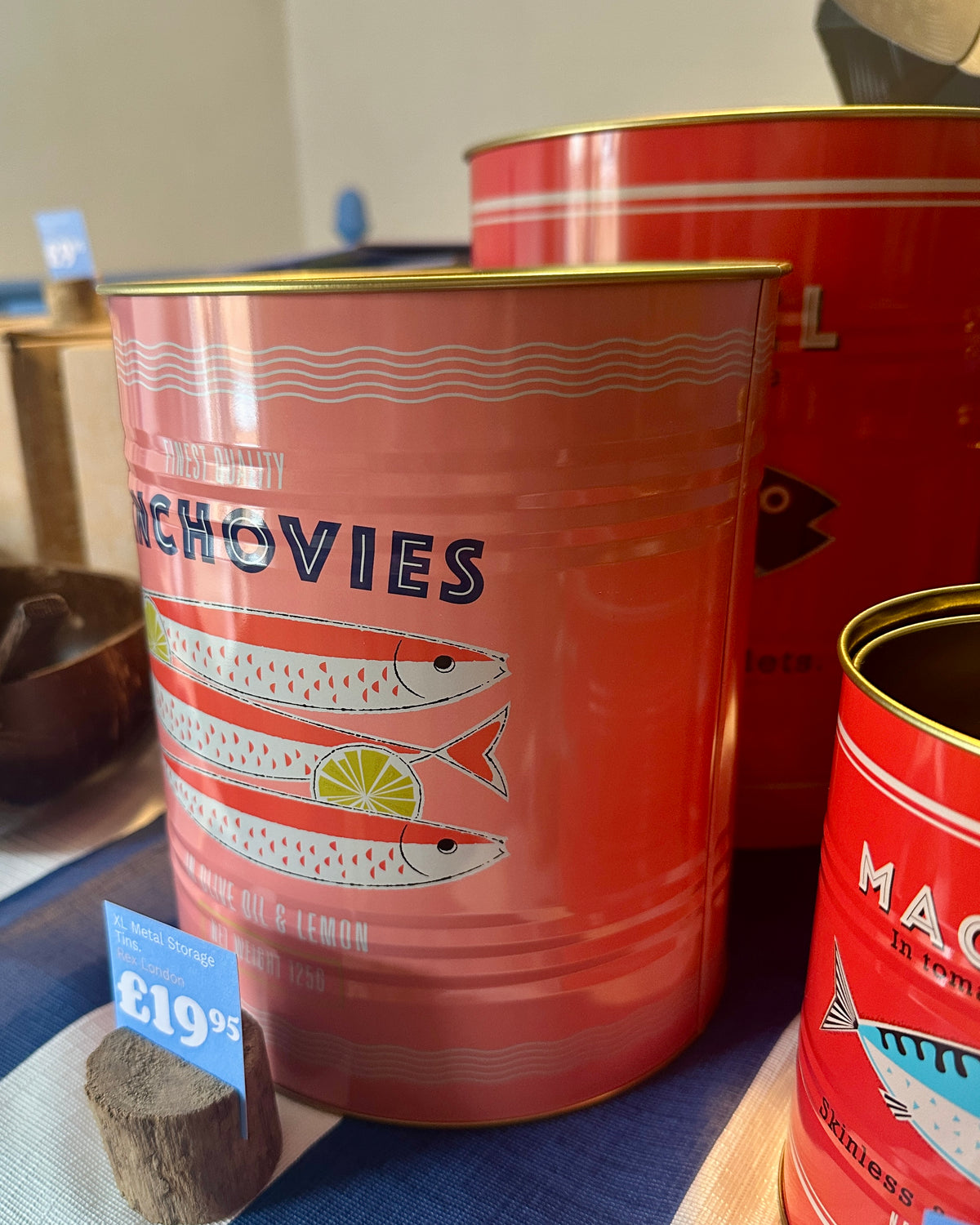 XL Fishes Storage Tins - Set Of 2