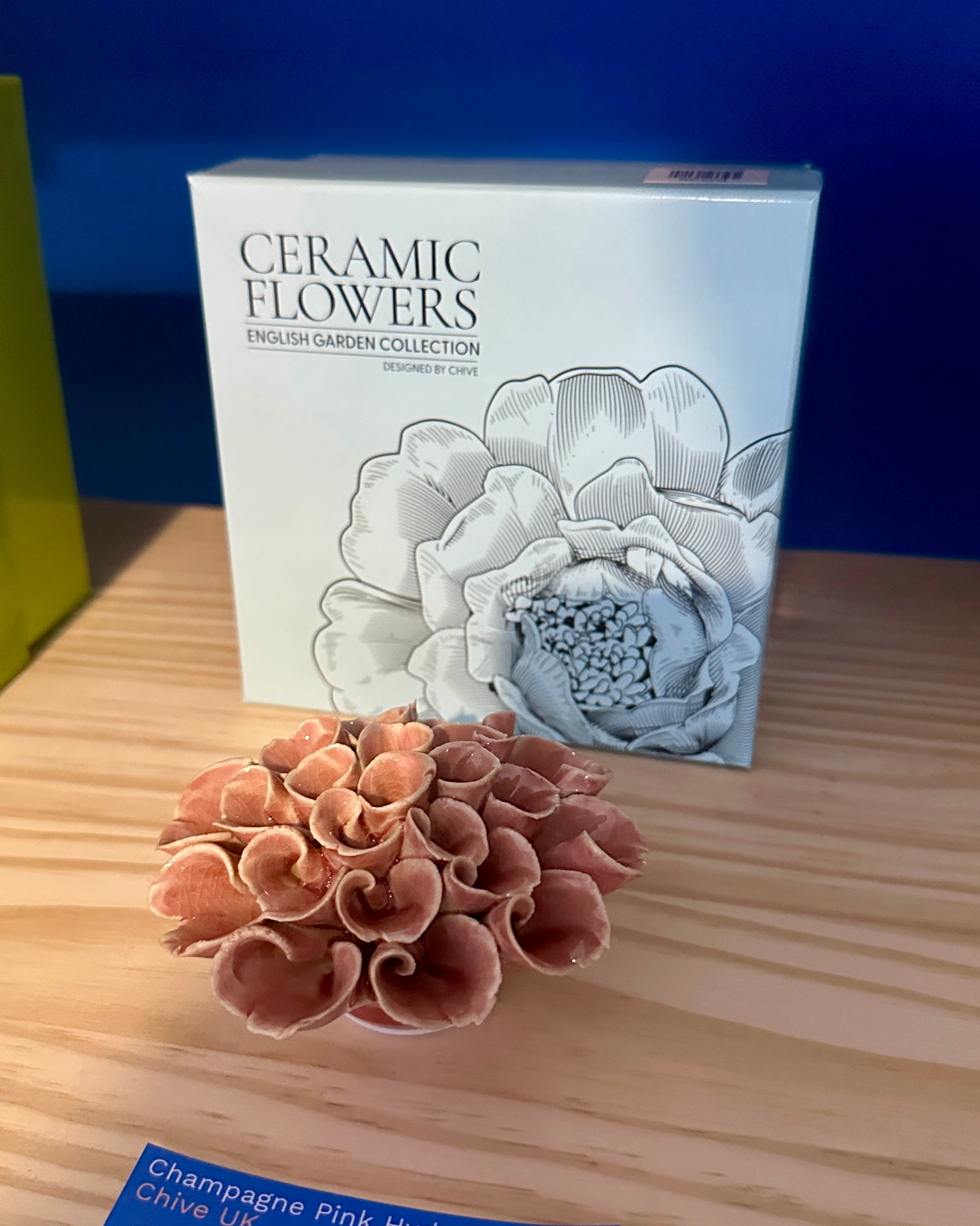 Ceramic Champagne Pink Hydrangea Flower - Chive UK