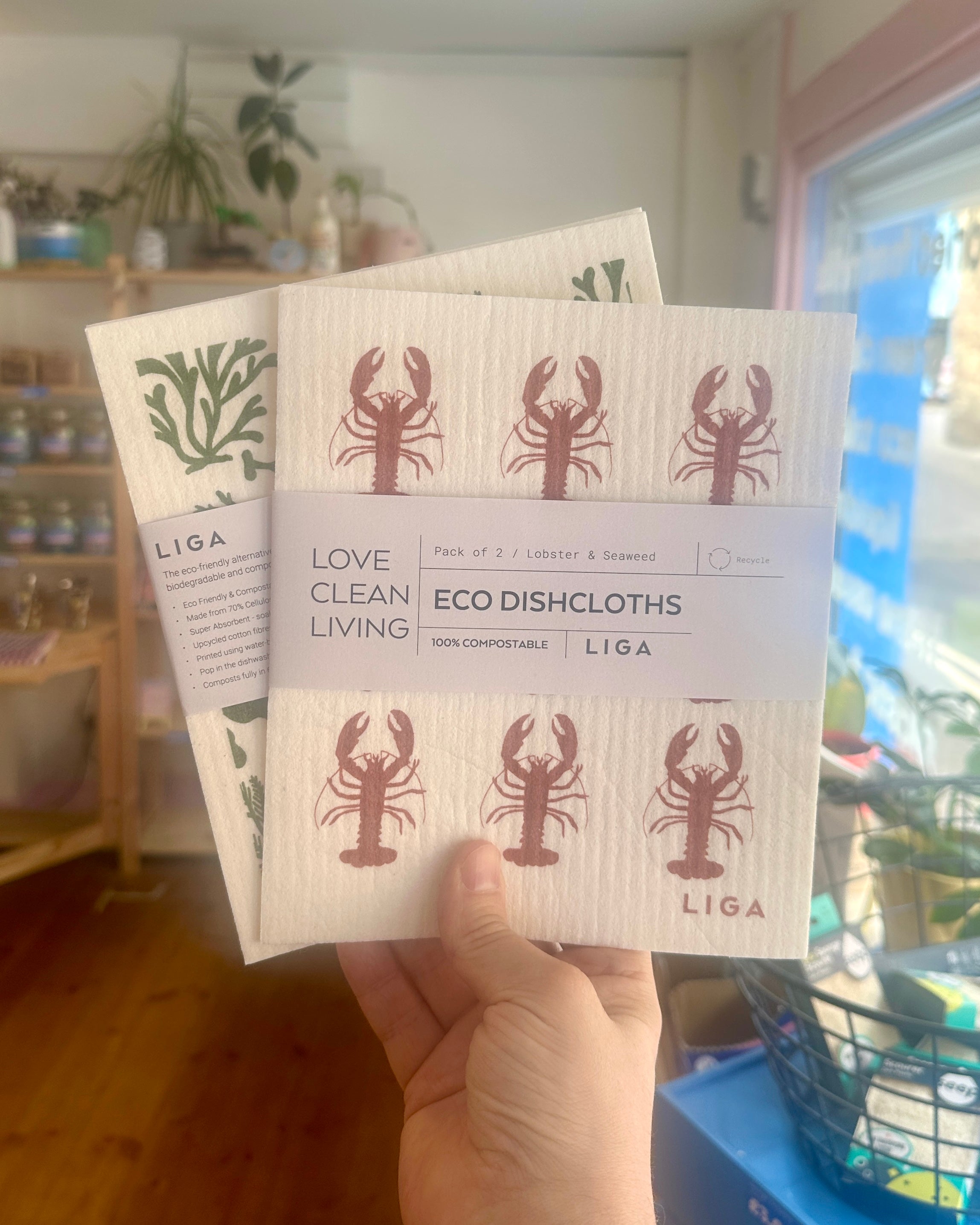 Lobster & Seaweed Eco Dishcloths 2 Pack - LIGA