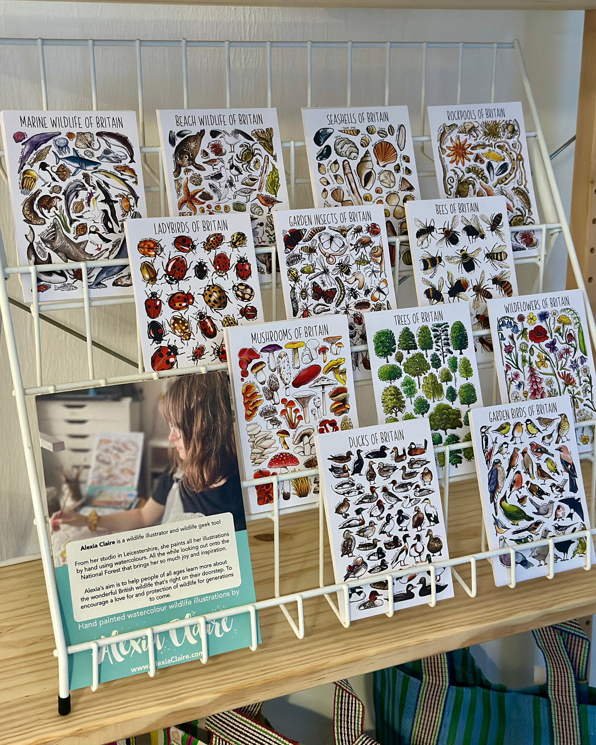 Illustrated British Wildlife Postcards