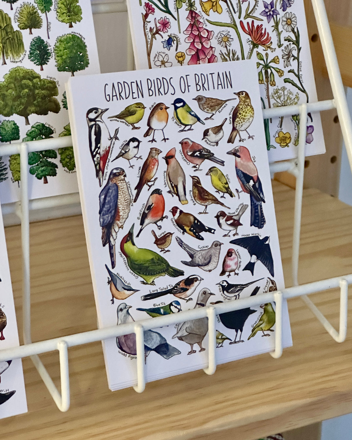 Illustrated British Wildlife Postcards
