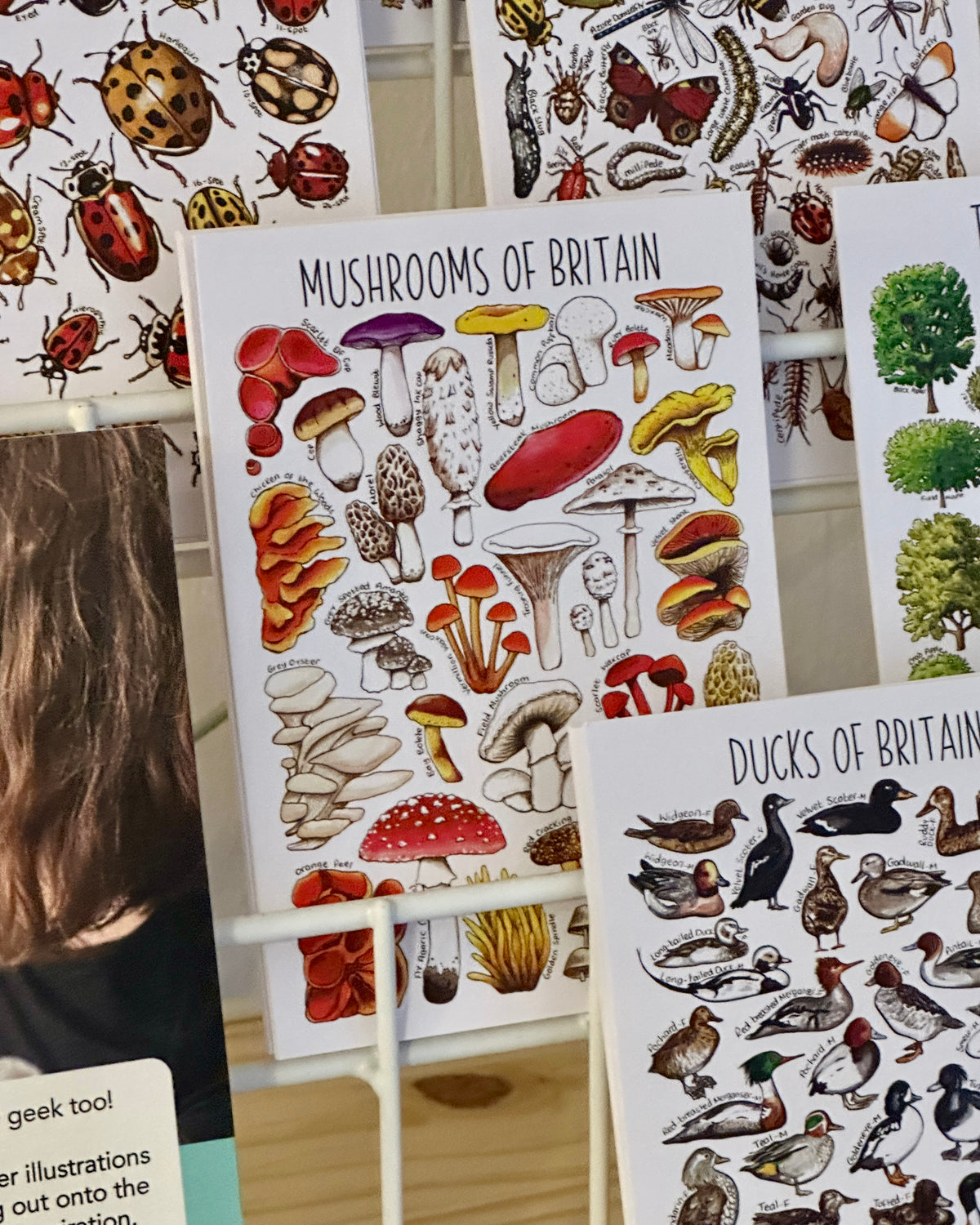 Illustrated British Wildlife Postcards