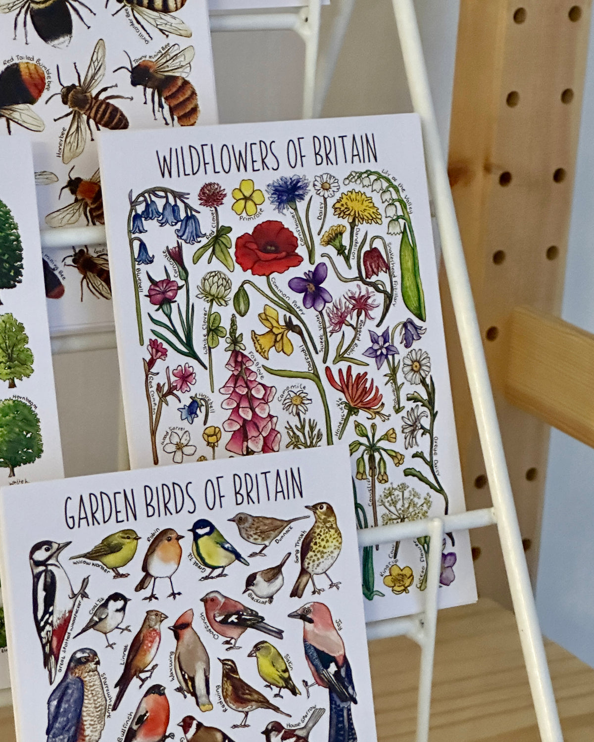 Illustrated British Wildlife Postcards