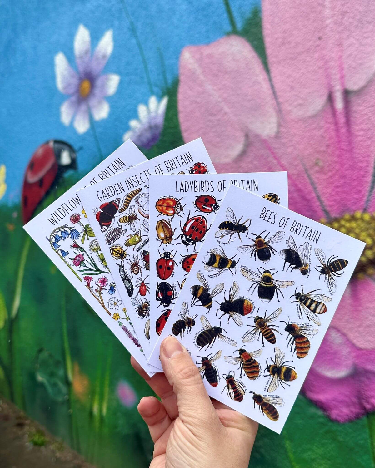Illustrated British Wildlife Postcards