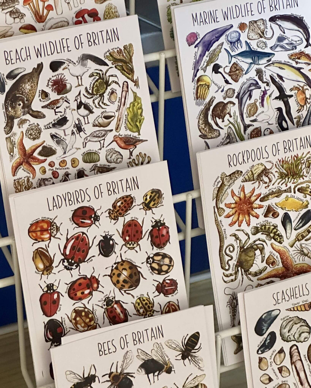 Illustrated British Wildlife Postcards