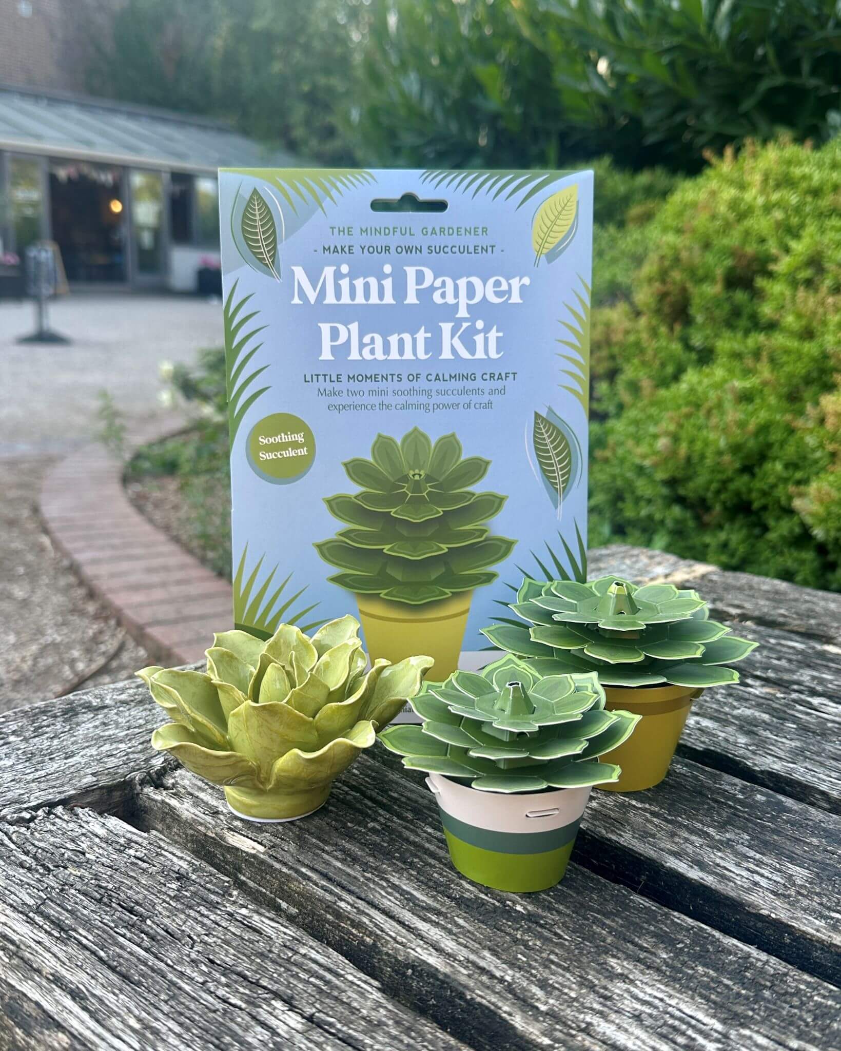 Make Your Own Soothing Succulent Mini Paper Plant Kit