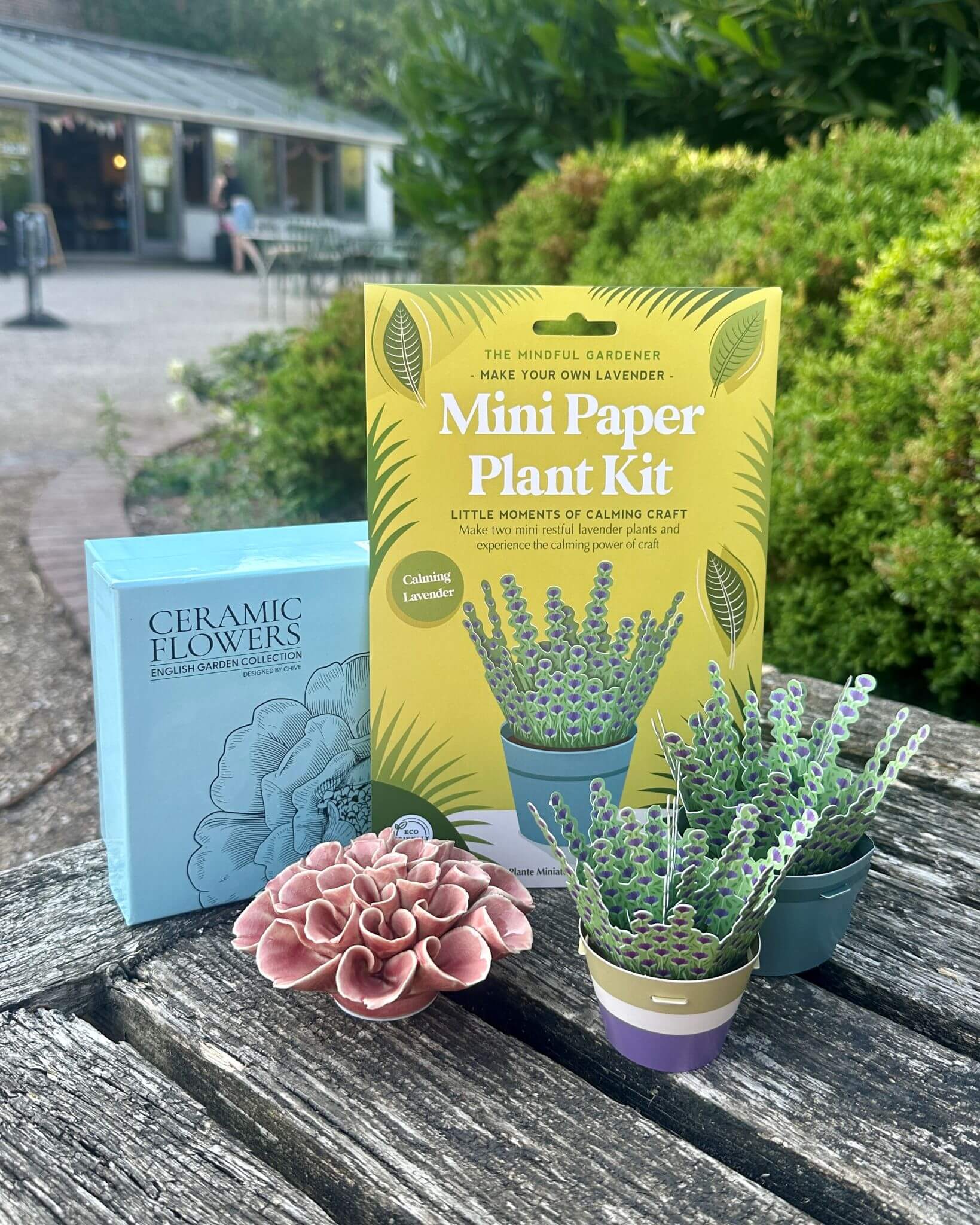 Make Your Own Calming Lavender Mini Paper Plant Kit