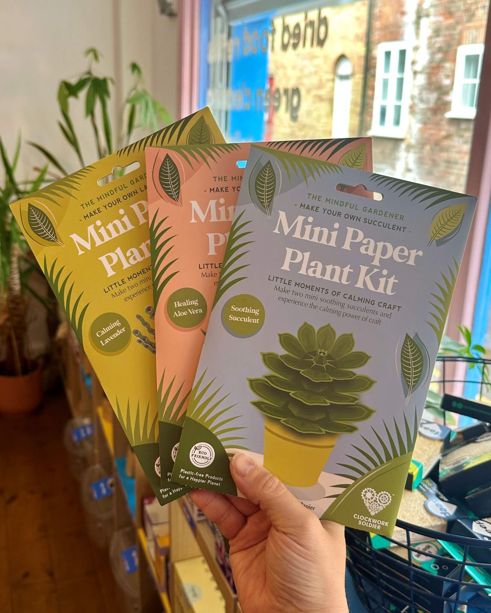Make Your Own Healing Aloe Vera Mini Paper Plant Kit