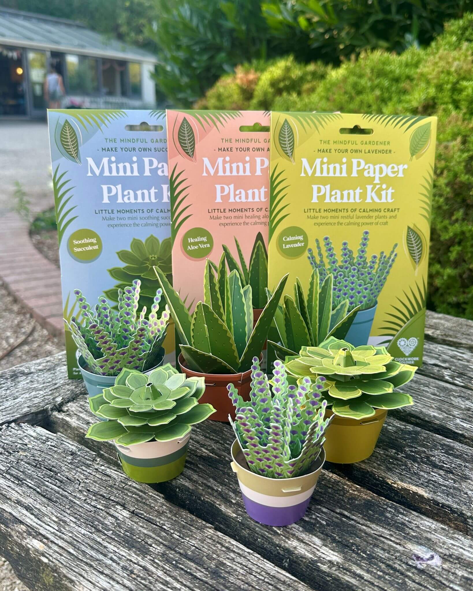 Make Your Own Calming Lavender Mini Paper Plant Kit