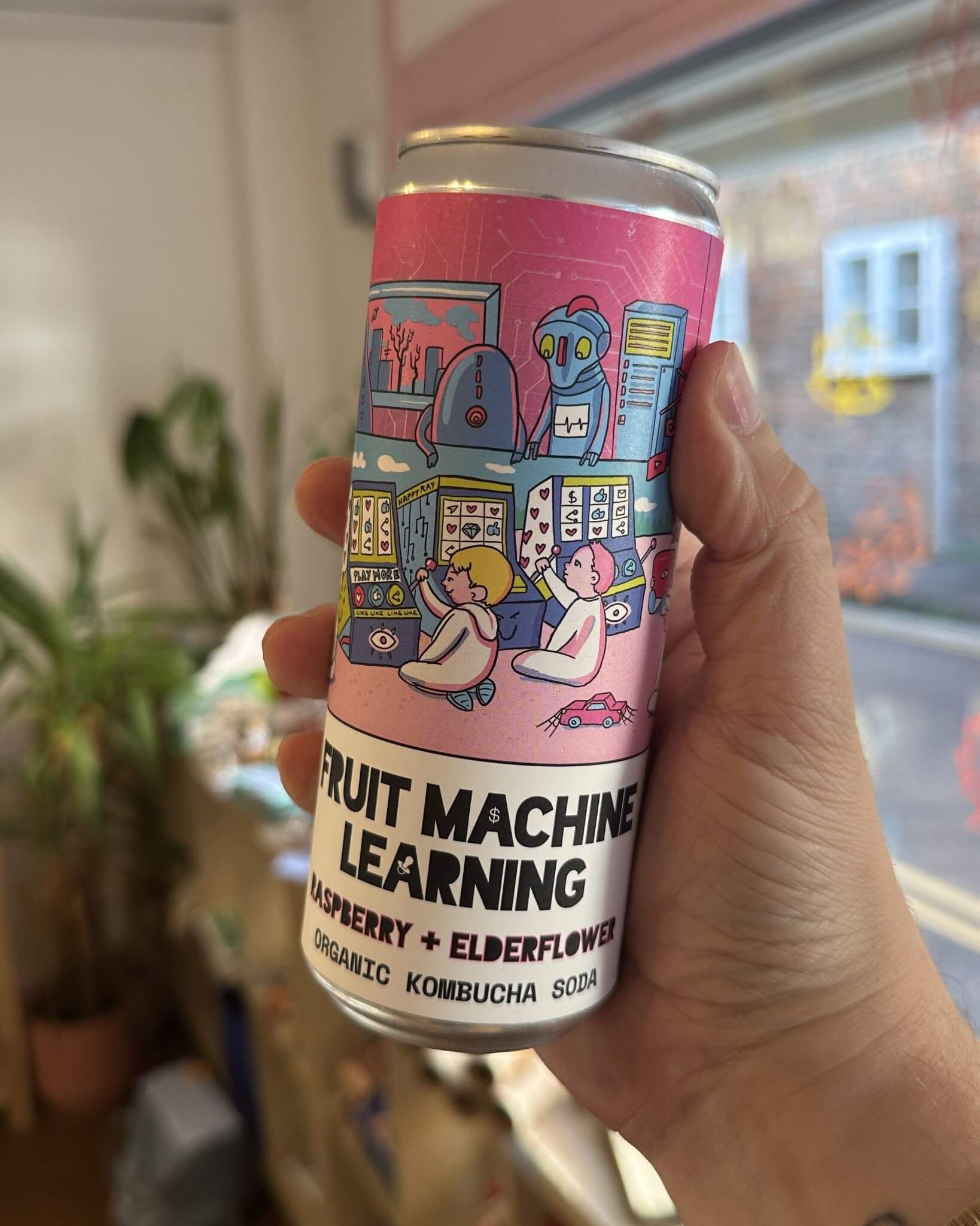 Raspberry + Elderflower Organic Kombucha Soda - Fruit Machine Learning