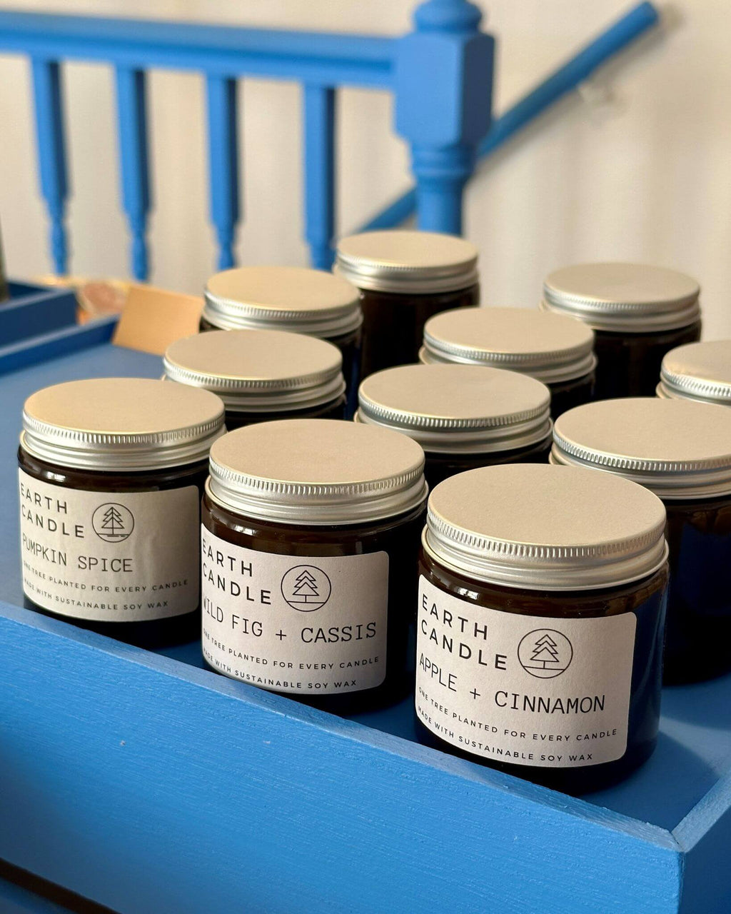 Wild Fig & Cassis Soy Wax Candle