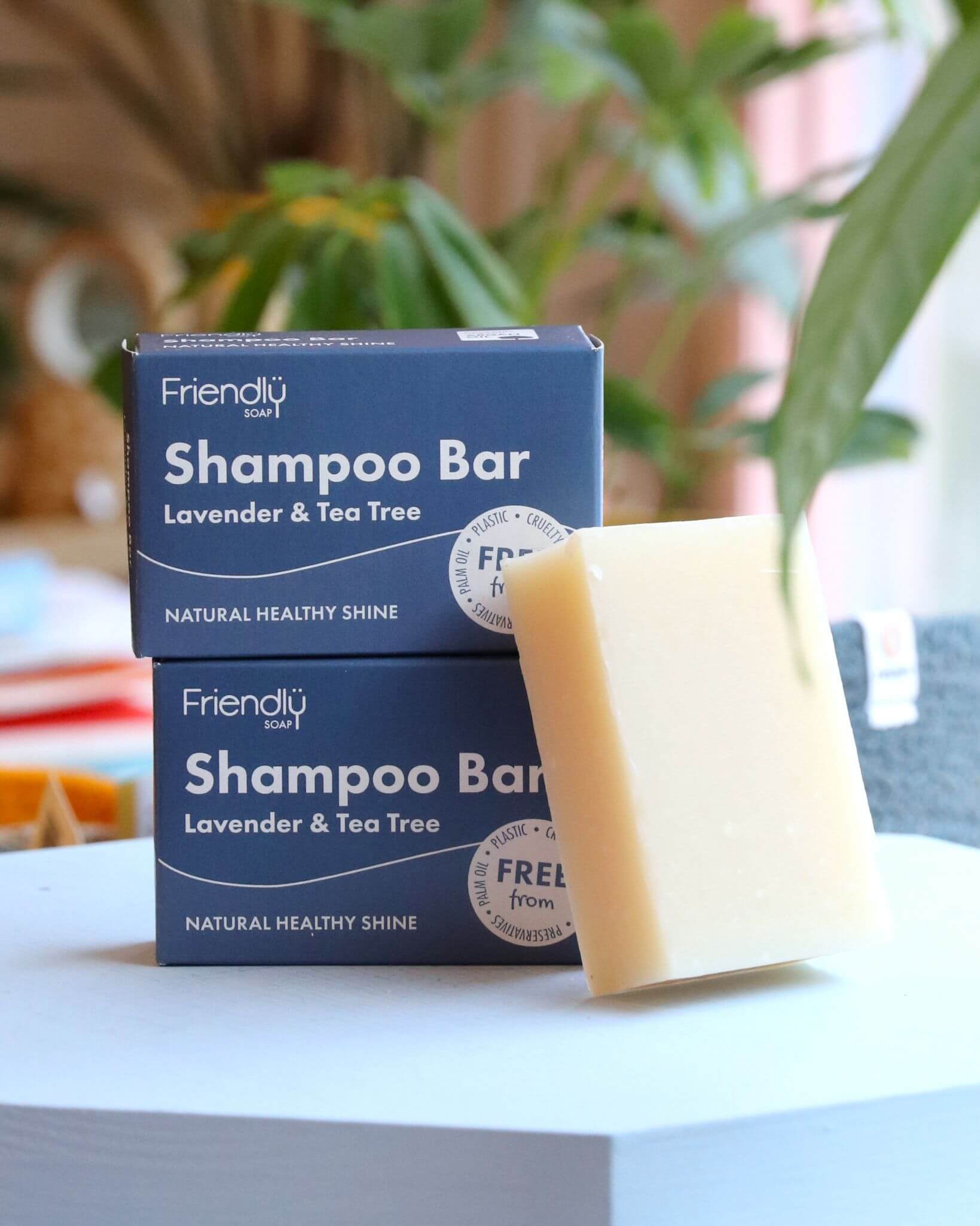 Friendly Hair Shampoo Bars