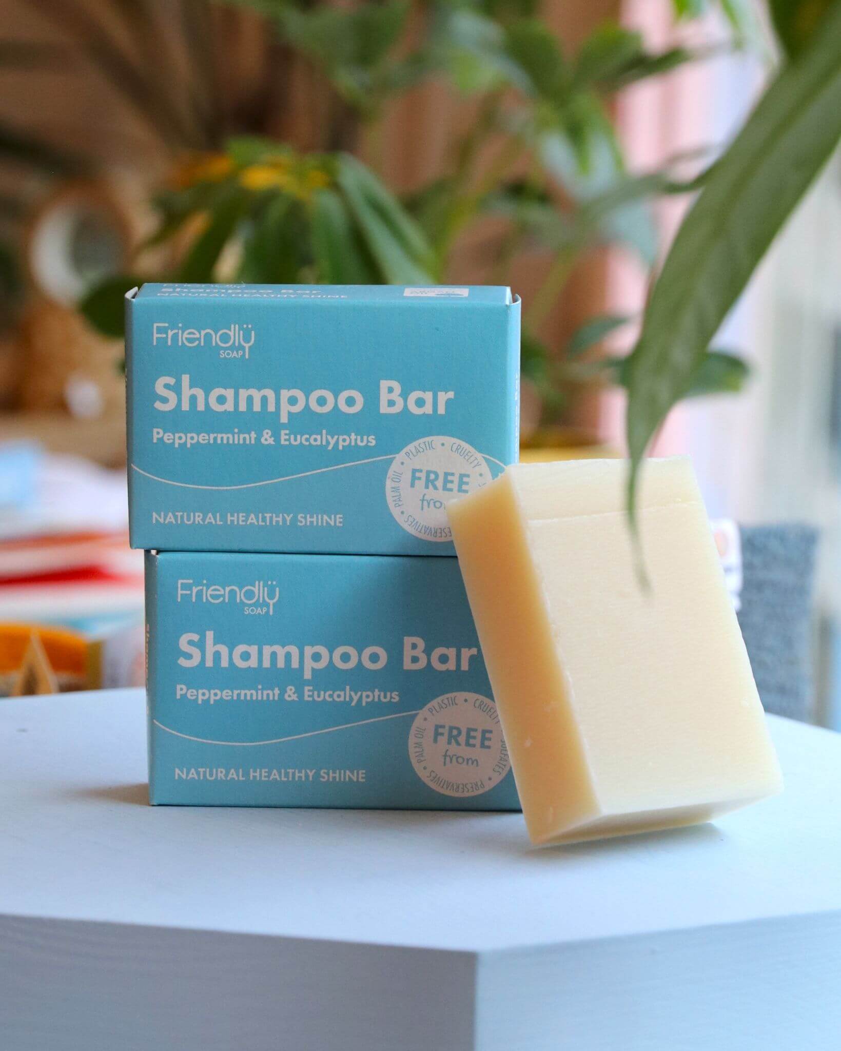Friendly Hair Shampoo Bars