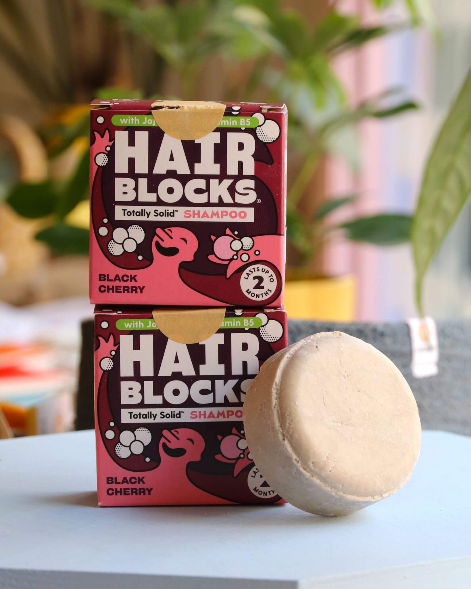 Hair Blocks Shampoo Bars