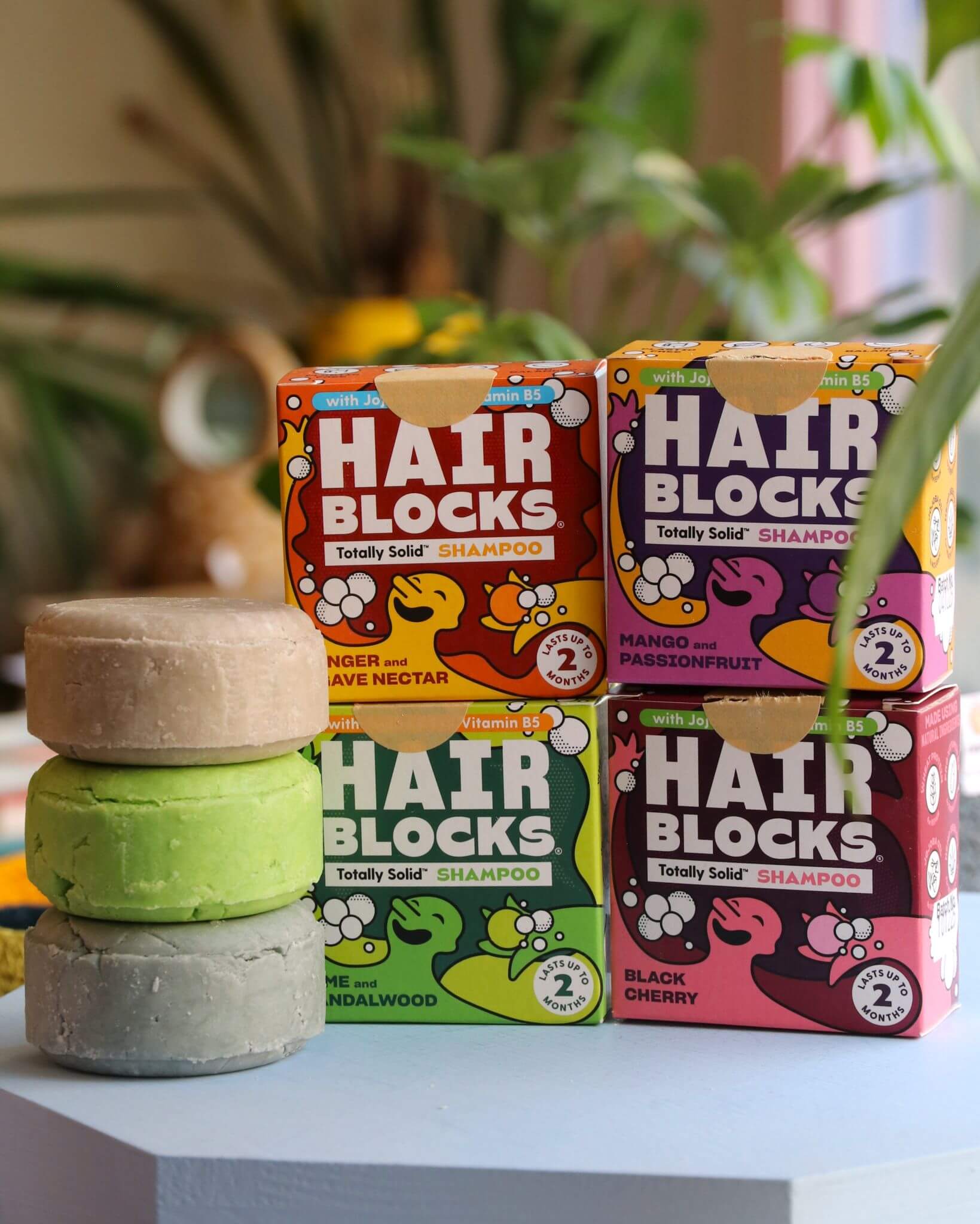 Hair Blocks Shampoo Bars