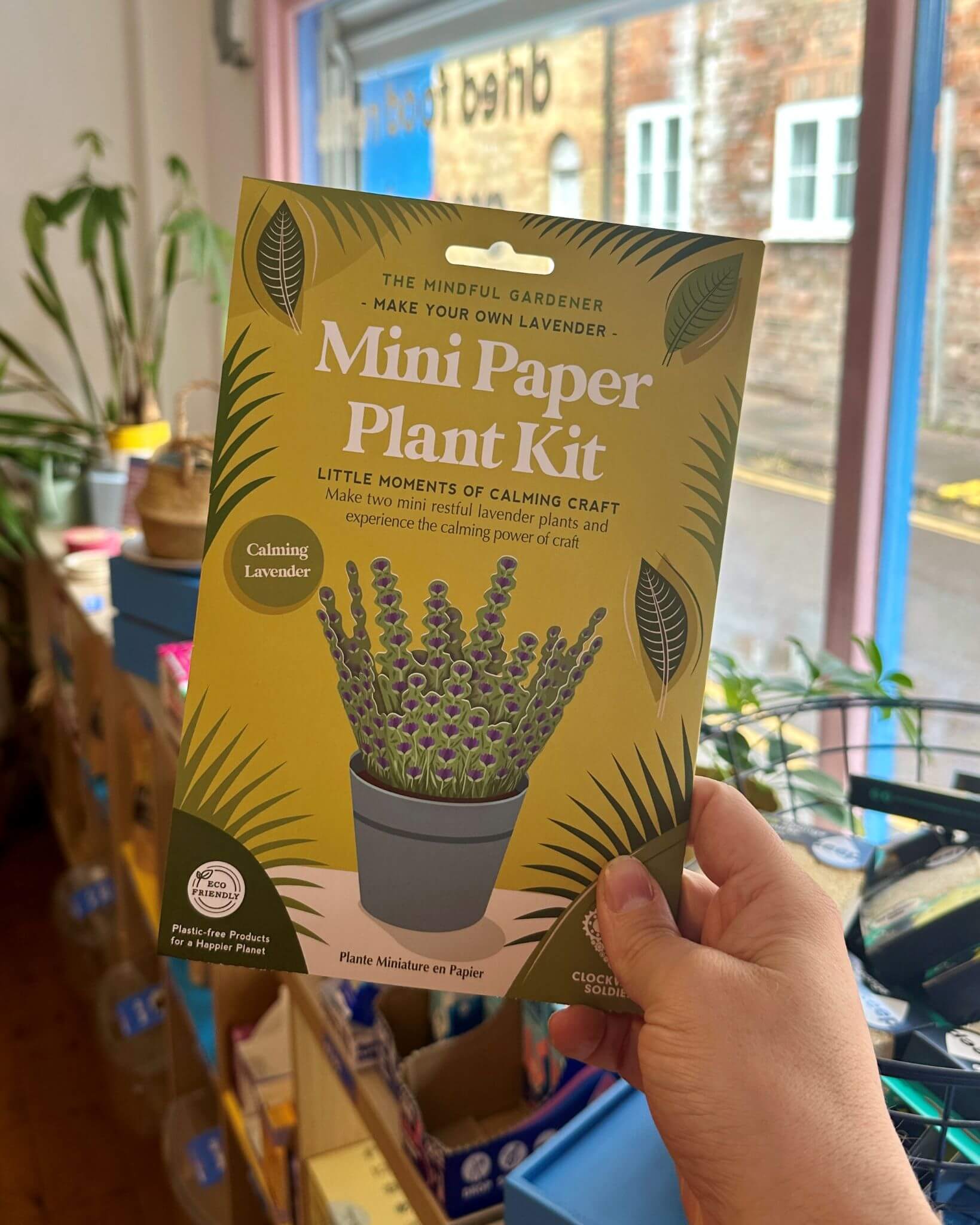 Make Your Own Calming Lavender Mini Paper Plant Kit