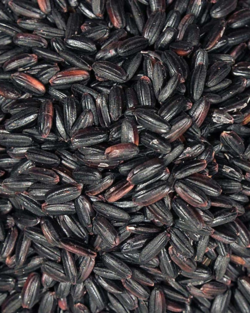 Tide Rice Organic Black Rice – Tare & Tide