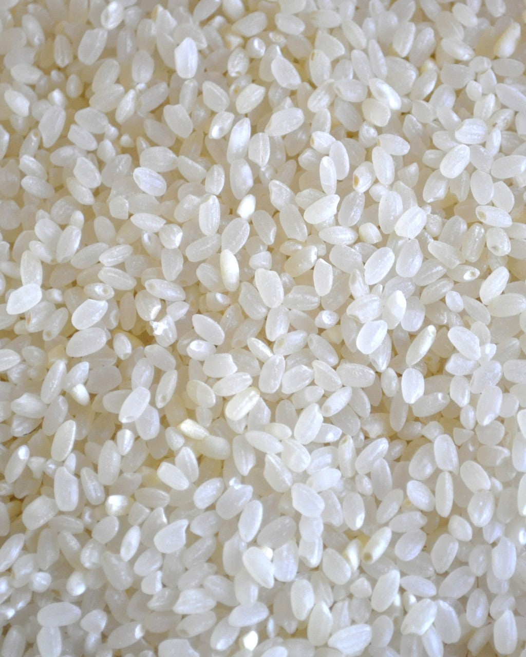 Tide Rice Organic Pudding/Sushi Rice – Tare & Tide